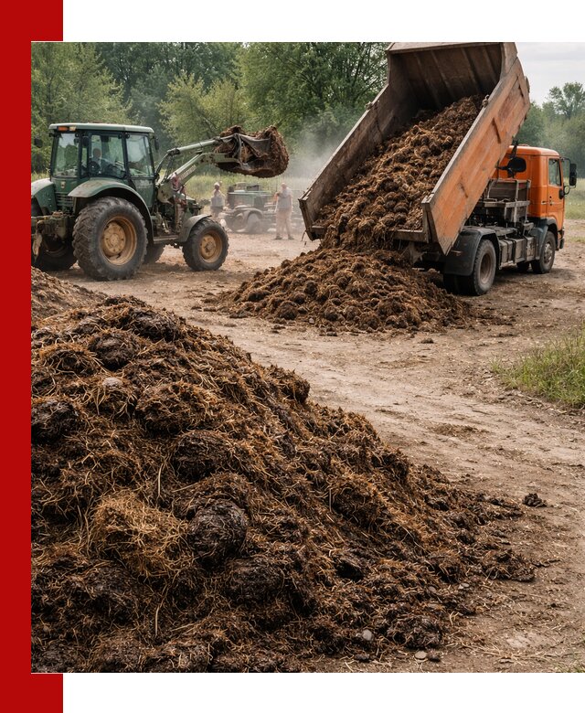 Доставка навоза самосвалами в Сердобске для сельхозпотребностей